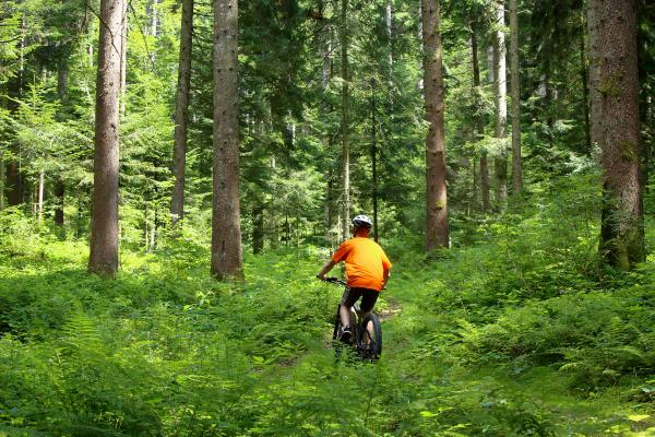 Percorsi MTB