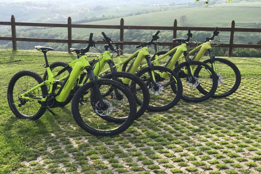 EBikeLessinia