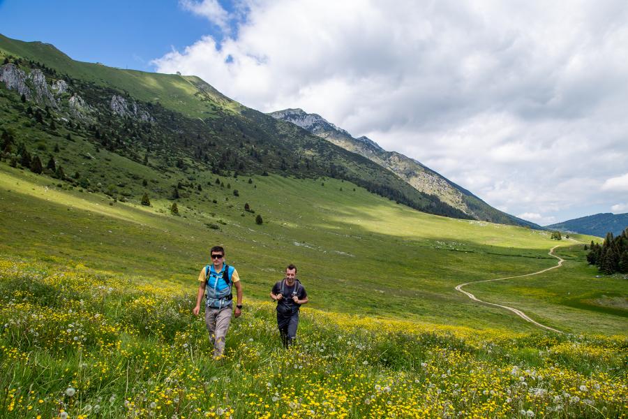 Trek da Malga Valfredda a Malga Pralongo