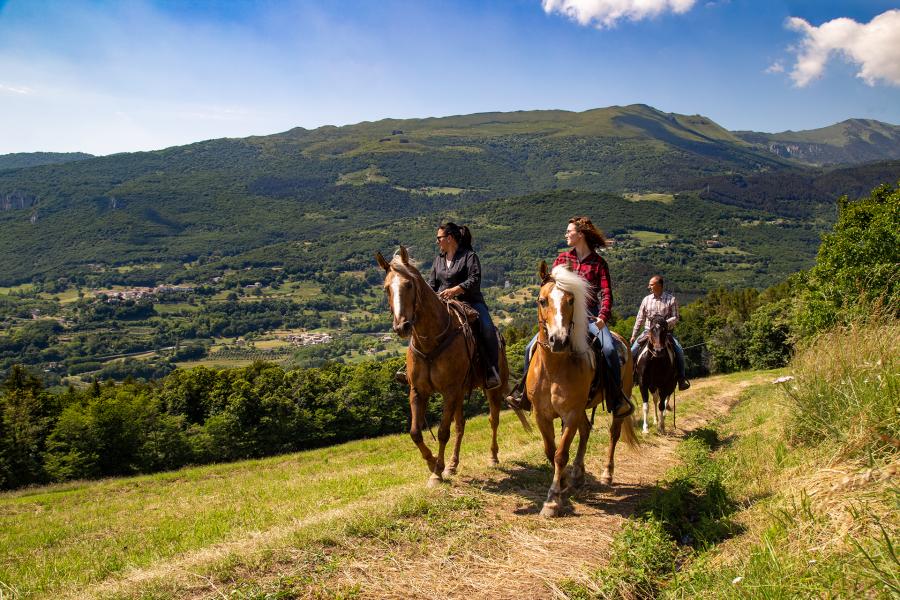 A cavallo da Malga Ime a Malga Zocchi