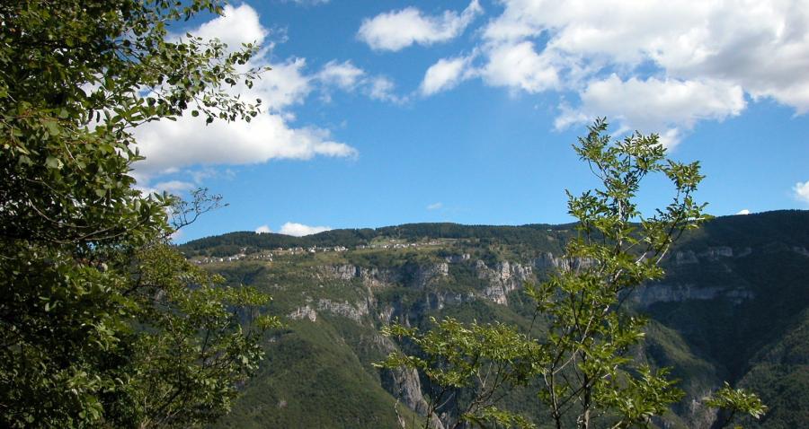Il Capriolo Felice - Agriturismo