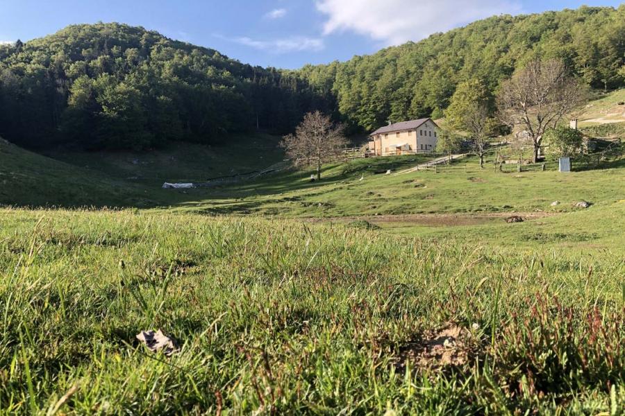 Agribed Quierta