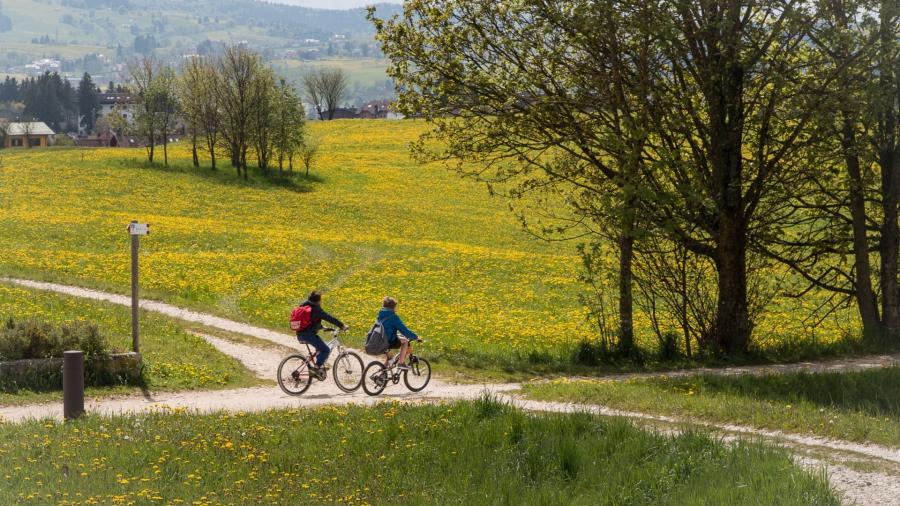 Giro Delle Malghe Asiago Mtb Traccia