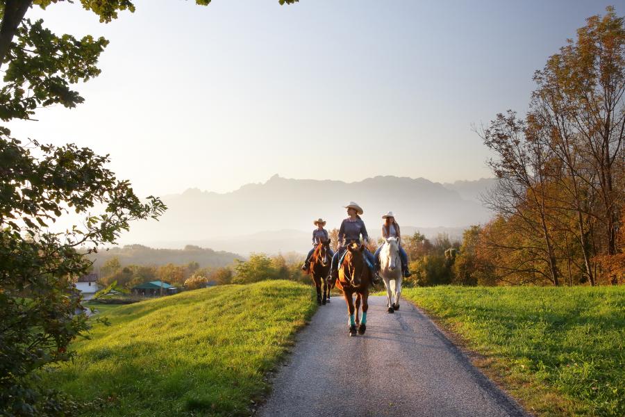 La salita del Col Visentin a cavallo
