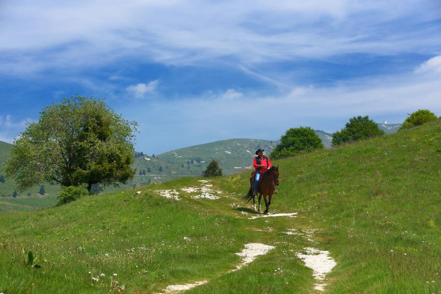 Trekking a Cavallo sul Monte Grappa