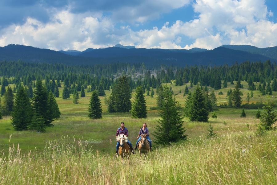 Horse trek a Marcesina