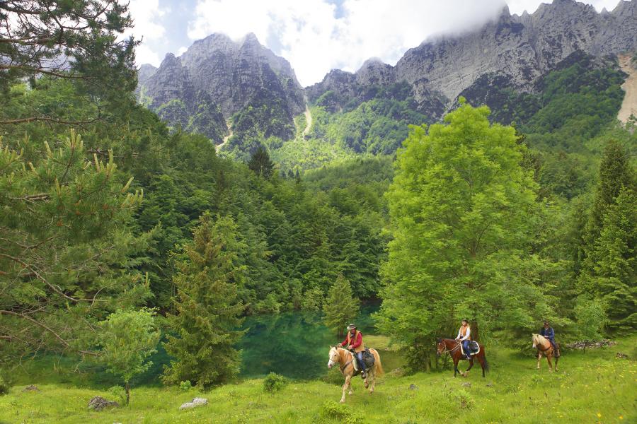 Piccole Dolomiti a Cavallo