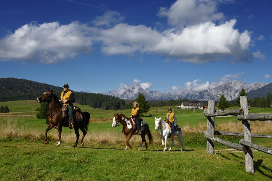 Horse Trek dal Lago di Garda alla Foresta del Cansiglio