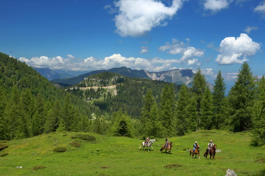 Escursione a Cavallo sul Monte Toraro