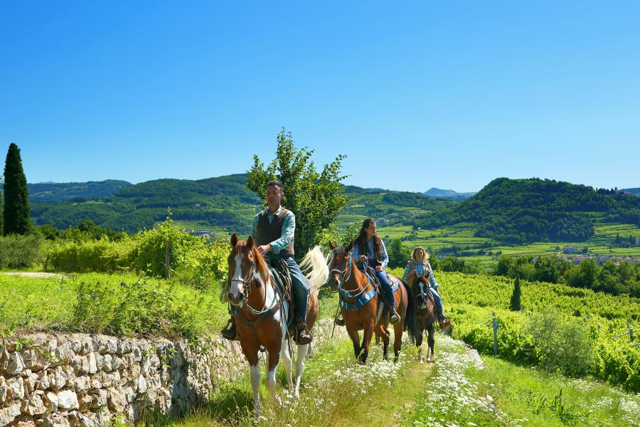 A cavallo alla scoperta dell'alta Valpolicella