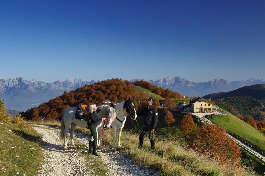 Horse trek da Posa Puner a Malga Mariech