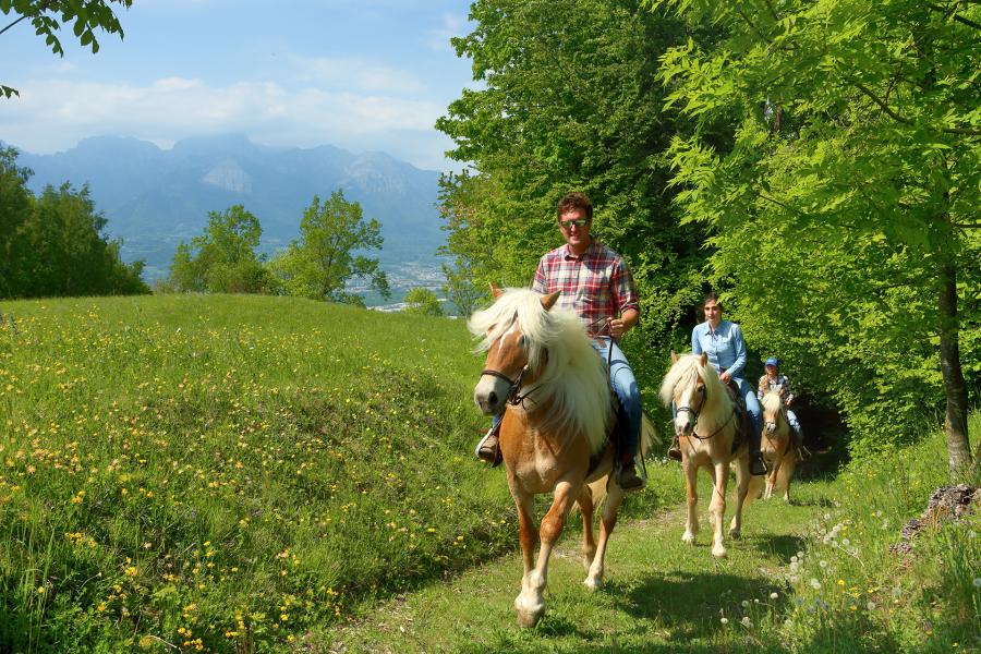 Horse trek da Praderadego a Posa Puner